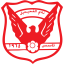 ف91دوديلانجي